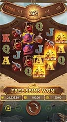 66ns · Wild Bounty Sd
