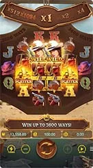 66ns · Wild Bounty Sd